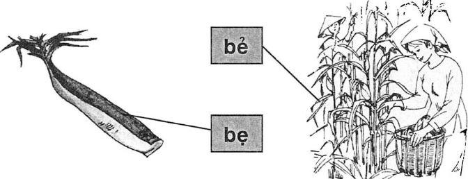 Giải vở bài tập Tiếng Việt 1 bài 6 be, bè, bé, bẻ, bẽ, bẹ