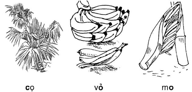 Giải vở bài tập Tiếng Việt 1 bài 9: o c