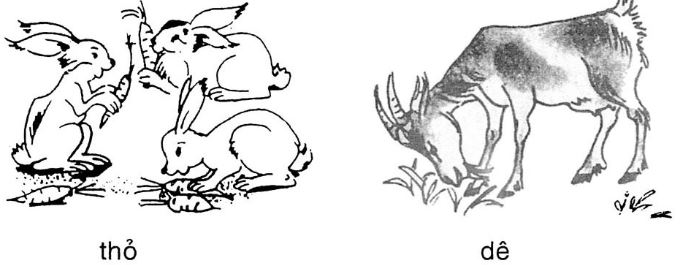 Giải vở bài tập Tiếng Việt 1 bài 16: Ôn tập