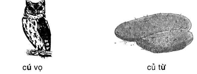 Giải vở bài tập Tiếng Việt 1 bài 17: u ư