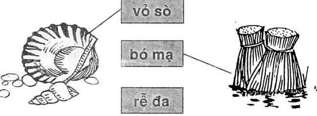 Giải vở bài tập Tiếng Việt 1 bài 19 s r