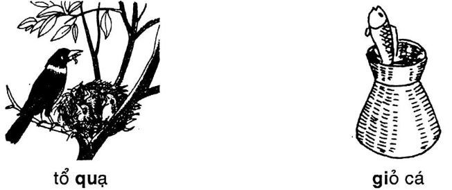 Giải vở bài tập Tiếng Việt 1 bài 24: q - qu gi