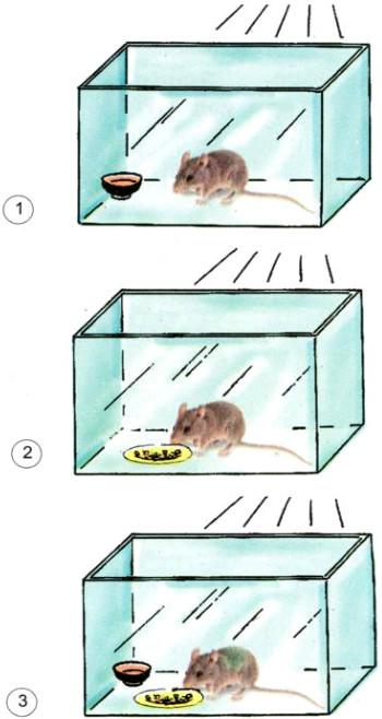 Giải Vở bài tập Khoa học lớp 4 bài 62