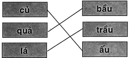 Giải vở bài tập Tiếng Việt 1 bài 39: au âu