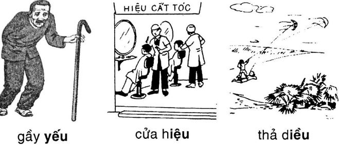 Giải vở bài tập Tiếng Việt 1 bài 41 iêu yêu