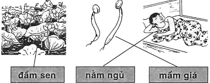 Giải vở bài tập Tiếng Việt 1 bài 61: ăm âm