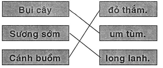 Giải vở bài tập Tiếng Việt 1 bài 67: Ôn tập