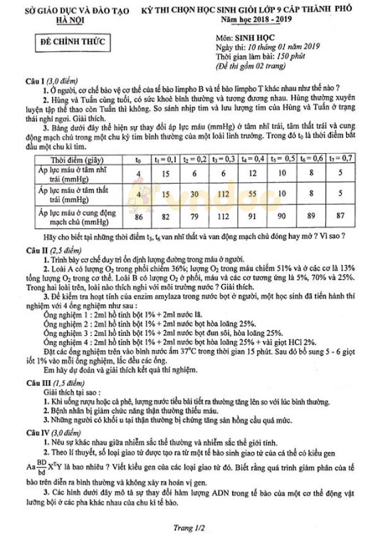 Đề thi chọn học sinh giỏi cấp thành phố lớp 9 môn Sinh học Sở GD&ĐT Hà Nội năm học 2018 - 2019