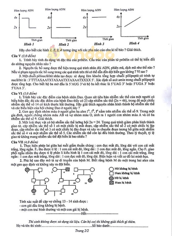 Đề thi chọn học sinh giỏi cấp thành phố lớp 9 môn Sinh học Sở GD&ĐT Hà Nội năm học 2018 - 2019