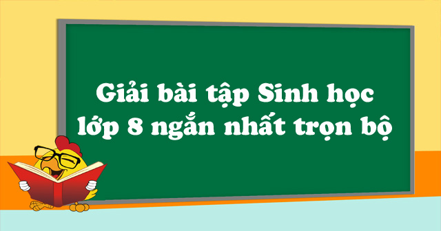 Giải Bài Tập Sinh Học Lớp 8 Ngắn Nhất Trọn Bộ - Giải Bài Tập Sgk Sinh Học 8  Có Đáp Án - Vndoc.Com