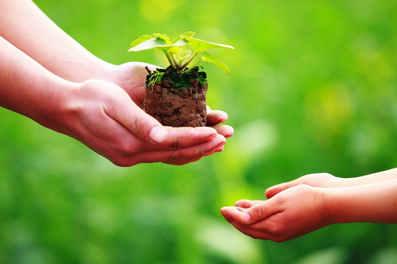 Viết đoạn văn bàn về được và mất trong cuộc sống