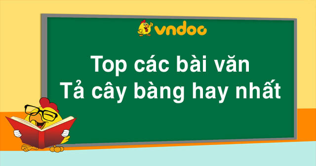 Văn mẫu tả cây bàng