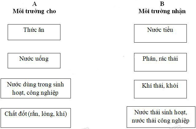 Giải Vở bài tập Khoa học lớp 5 bài 64