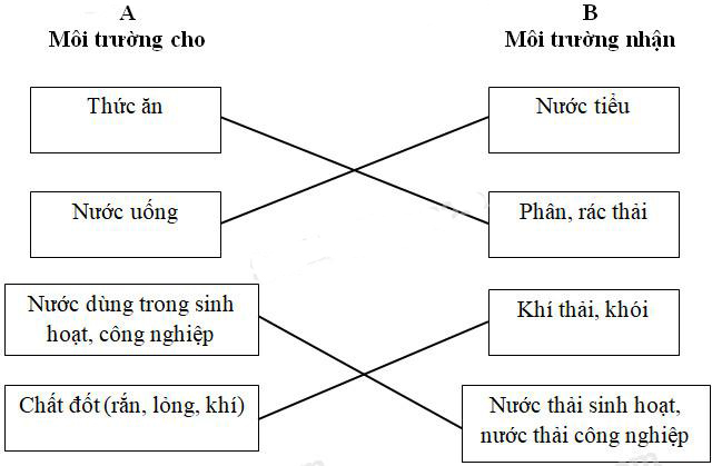 Giải Vở bài tập Khoa học lớp 5 bài 64