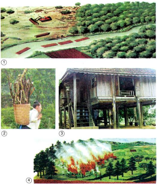 Giải Vở bài tập Khoa học lớp 5 bài 65