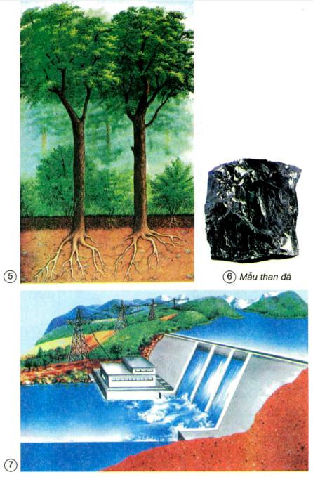 Giải Vở bài tập Khoa học lớp 5 bài 63