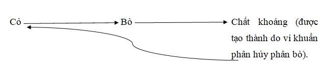 Giải Vở bài tập Khoa học lớp 4 bài 66