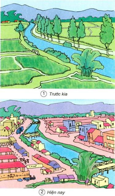 Giải VBT Khoa học lớp 5