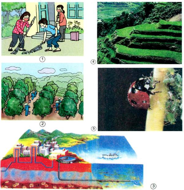 Giải Vở bài tập Khoa học lớp 5 bài 68