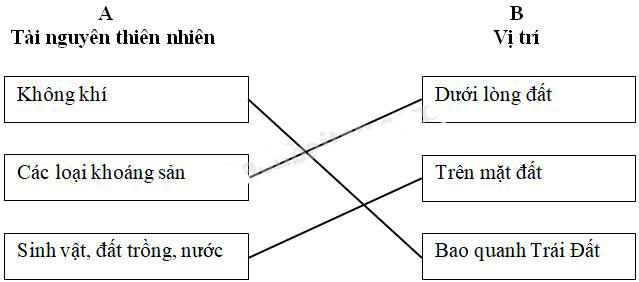 Giải Vở bài tập Khoa học lớp 5 bài 70