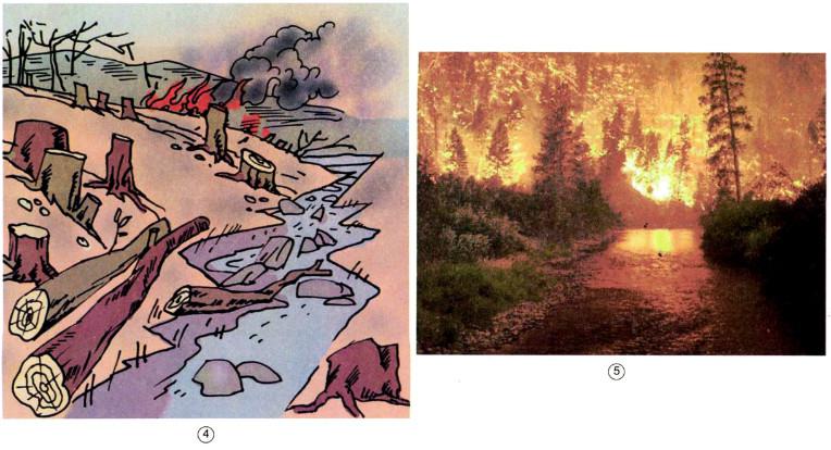 Giải Vở bài tập Khoa học lớp 5 bài 70