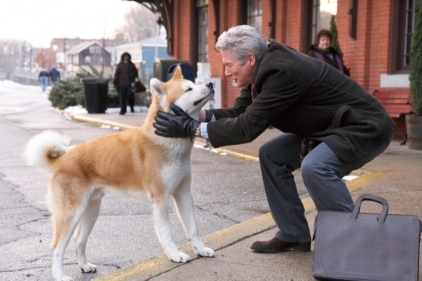 hãy nêu suy nghĩ của em về tình bạn và lòng trung thành trong cuộc sống