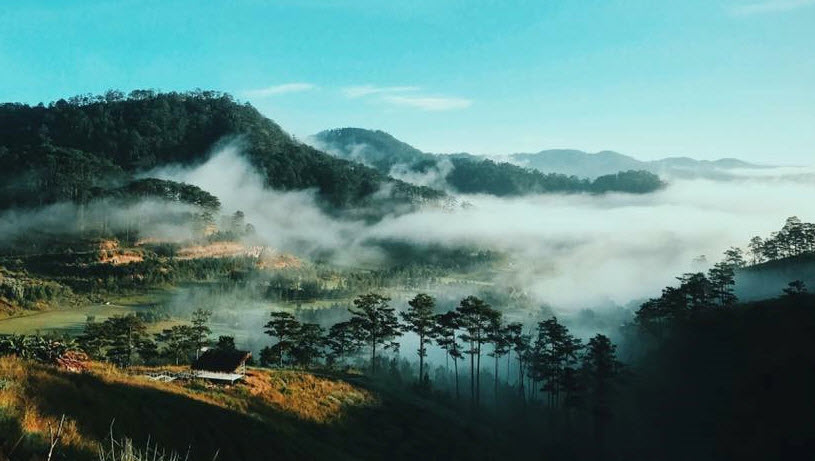 Kể về một chuyến ra thành phố đà lạt