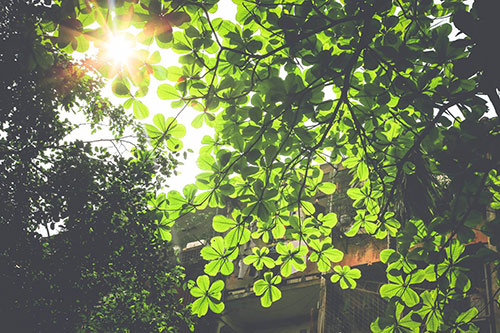 Em hãy miêu tả bầu trời ngoài cửa sổ