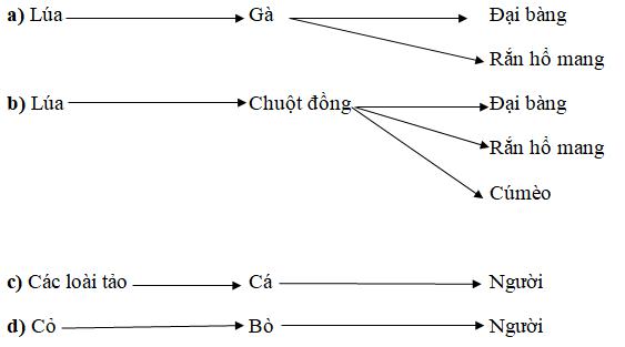 Giải Vở bài tập Khoa học lớp 4 bài 67 - 68