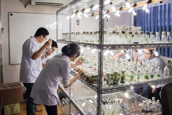 Đại học Bách khoa Hà Nội