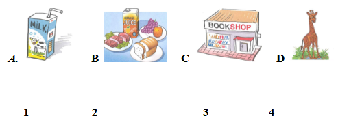 Đề thi học kì 2 lớp 4 môn Tiếng Anh
