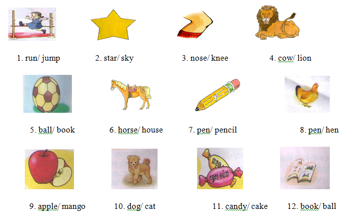 Đề thi học kì 2 lớp 1 môn Tiếng Anh