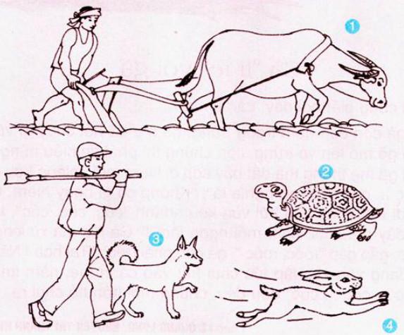 Luyện từ và câu lớp 2: Mở rộng vốn từ: từ ngữ về vật nuôi. Câu kiểu Ai thế nào?