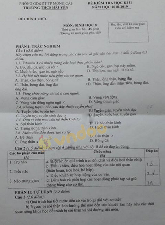 Đề thi học kì 2 lớp 8 môn Sinh học trường THCS Hải Yến, Móng Cái năm học 2018 - 2019