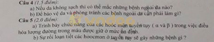 Đề thi học kì 2 lớp 8 môn Sinh học trường THCS Hải Yến, Móng Cái năm học 2018 - 2019