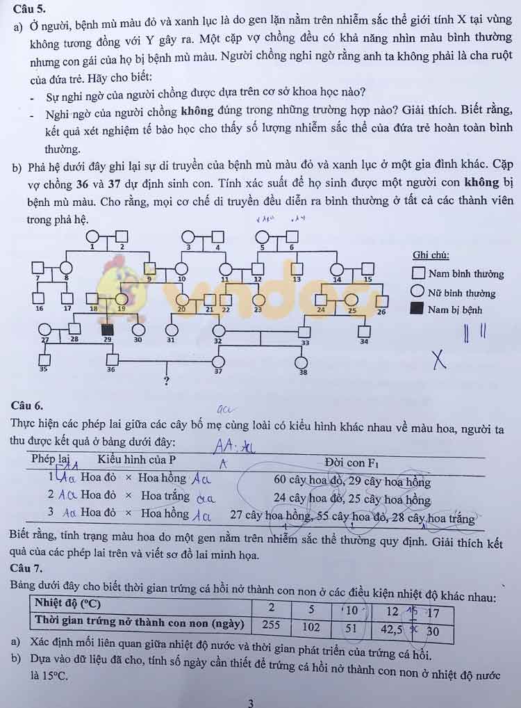Đề thi tuyển sinh vào lớp 10 môn Sinh học Trường THPT Chuyên KHTN, Hà Nội năm học 2019 - 2020