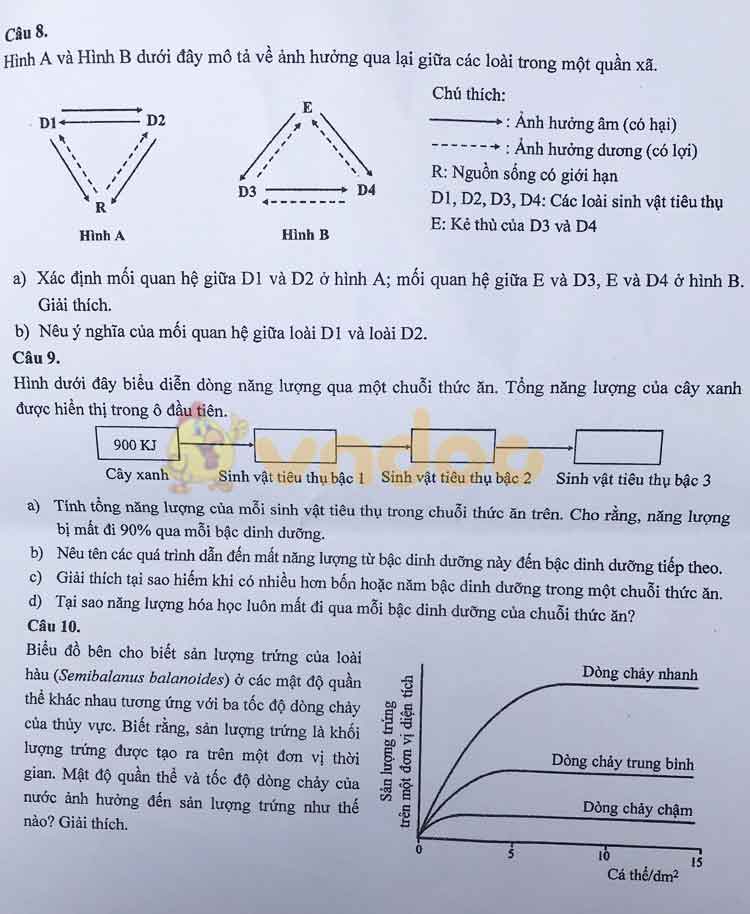 Đề thi tuyển sinh vào lớp 10 môn Sinh học Trường THPT Chuyên KHTN, Hà Nội năm học 2019 - 2020