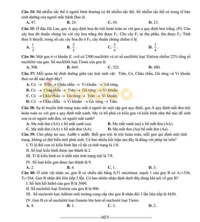 Đề thi tham khảo vào lớp 10 Sinh học Sở GD&ĐT Bắc Giang năm học 2019 - 2020