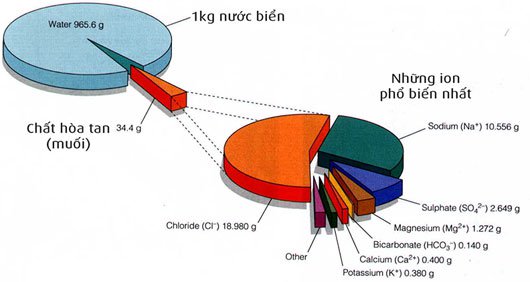 Tại sao nước biển lại mặn và nước biển mặn đến mức nào?