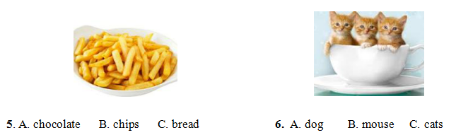 Bài tập ôn hè môn Tiếng Anh lớp 2 lên lớp 3