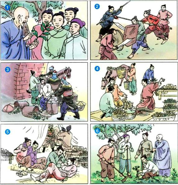 Kể chuyện - Cây cỏ nước Nam