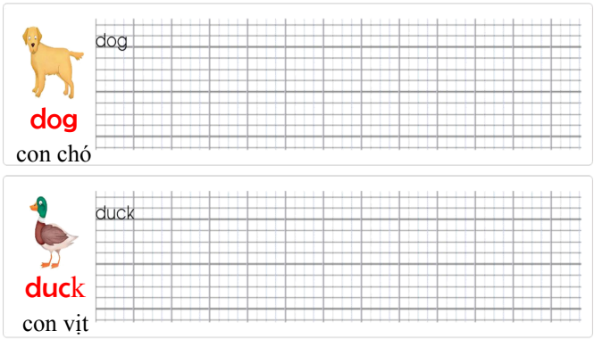 Tập viết Tiếng Anh lớp 1 Unit 1 What colour is it?