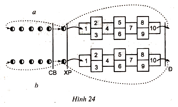 Giáo án Thể dục lớp 2: Bài 42