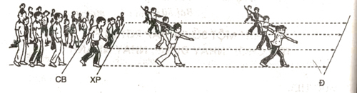 Giáo án Thể dục lớp 2: Bài 42