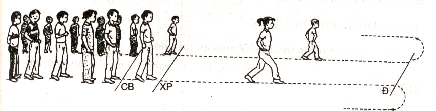 Giáo án Thể dục lớp 2: Bài 43