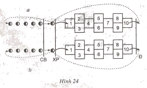 Giáo án Thể dục lớp 2: Bài 43