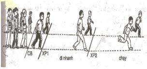 Giáo án Thể dục lớp 2: Bài 49