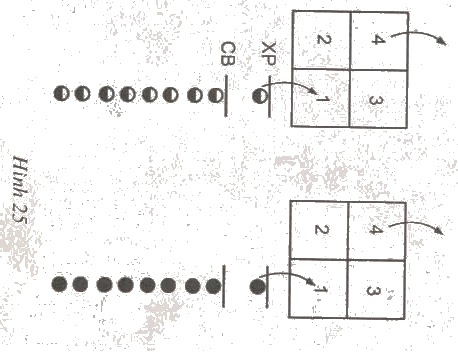 Giáo án Thể dục lớp 2: Bài 49