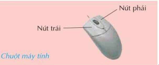 Bài thực hành 1 trang 22 SGK Tin học 3