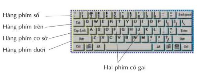 Bài thực hành 2 trang 18 SGK Tin học 3